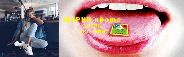 крисы Дмитров