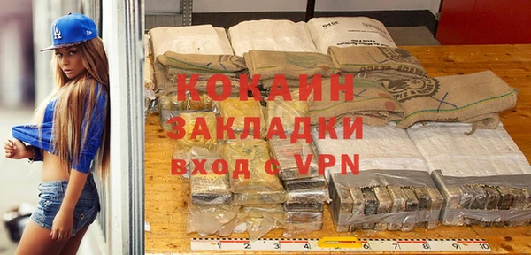 гидропоника Гусиноозёрск