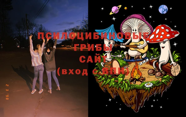 бутират Гусев