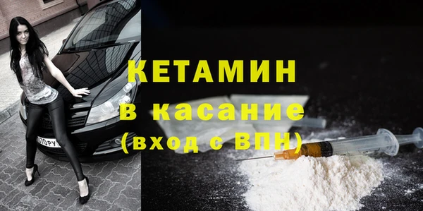 крисы Дмитров