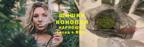 гидропоника Гусиноозёрск
