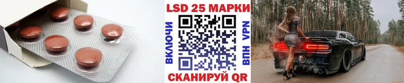 LSD-25 экстази ecstasy  Купить закладки  Кондопога 