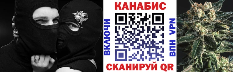 Шишки марихуана SATIVA & INDICA  Купить закладки  Кондопога 
